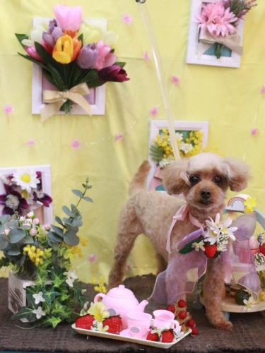 20230319ロビンちゃん